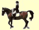 Montura M&egrave;rits