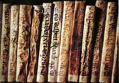 Oda al libro viejo